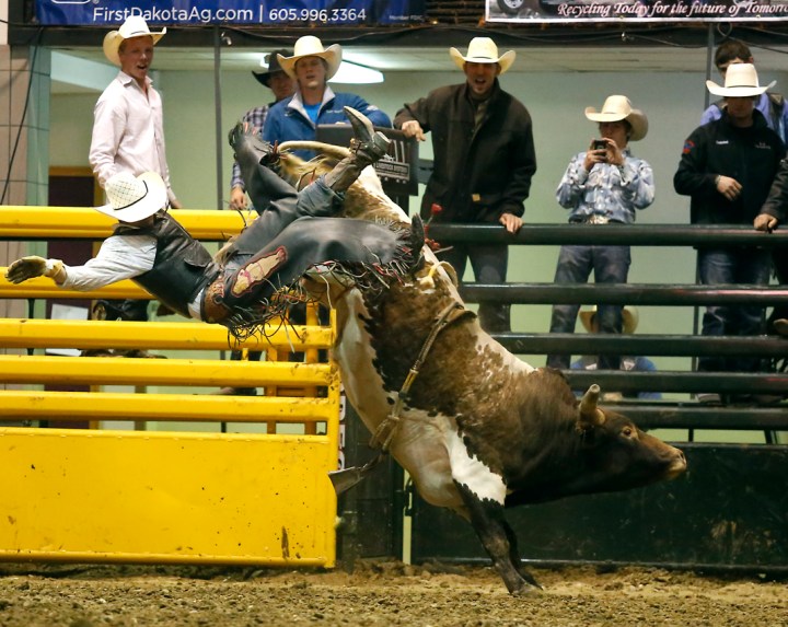 Chris Newsom, of Hammon, Okla., competes in the bull riding competition during the Wilbur-Ellis Corn Palace Challenge on Saturday night at the corn palace in Mitchell. (Matt Gade/Republic)