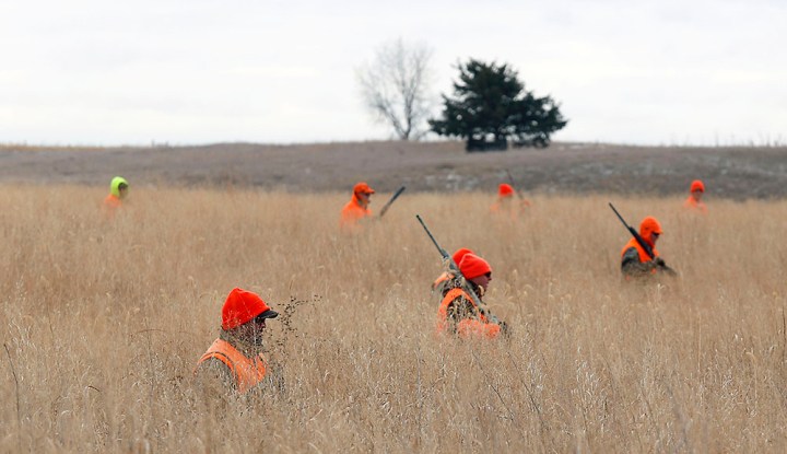 The hunters make their way through the CRP during a hunting trip at Firesteel Creek Hunting Lodge off HWY 281 on Tuesday morning near Plankinton. (Matt Gade/Republic)