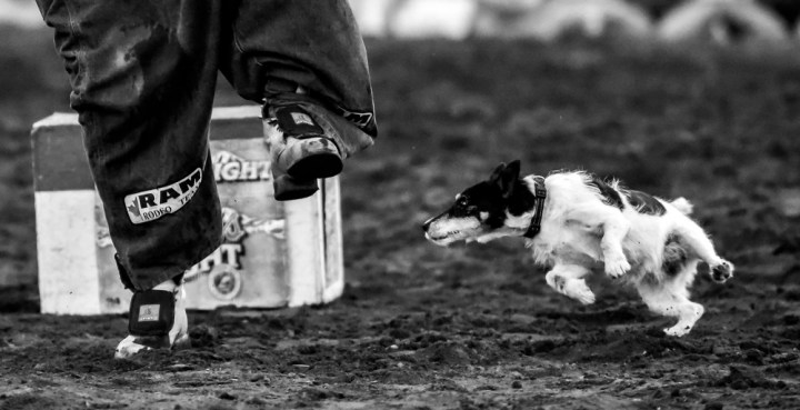 Scenes from the second day of the 45th Annual Corn Palace Stampede Rodeo at Horseman's Sports Arena on Friday in Mitchell. (Matt Gade/Republic)