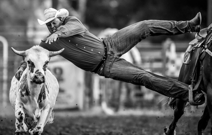 Kyle Albers, of Hartford, stretches out to try and bring down his steer in the steer wrestling portion of the 45th Annual Corn Palace Stampede Rodeo at Horseman's Sports Arena on Sunday in Mitchell. (Matt Gade/Republic)