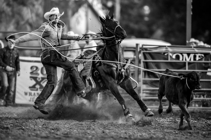 Jody Green, of Shakopee Minn., competes in the Tie Down Roping portion of the 45th Annual Corn Palace Stampede Horseman's Sports Arena on Thursday night in Mitchell. (Matt Gade/Republic)